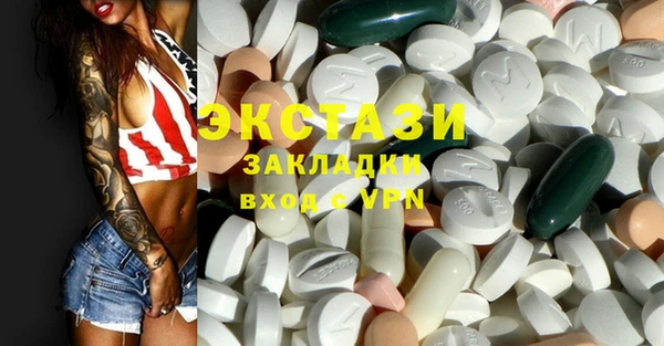 ECSTASY Богородск